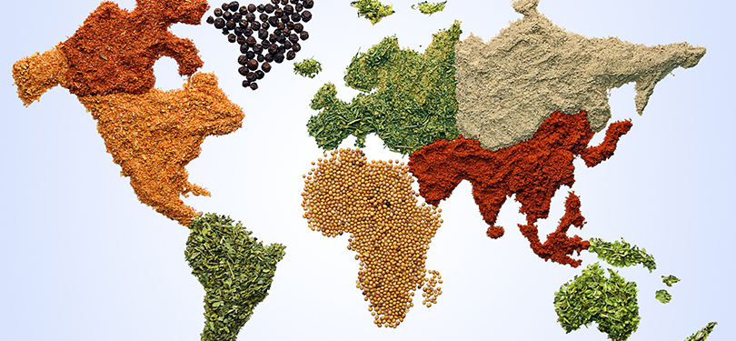 Map of the world made from spices